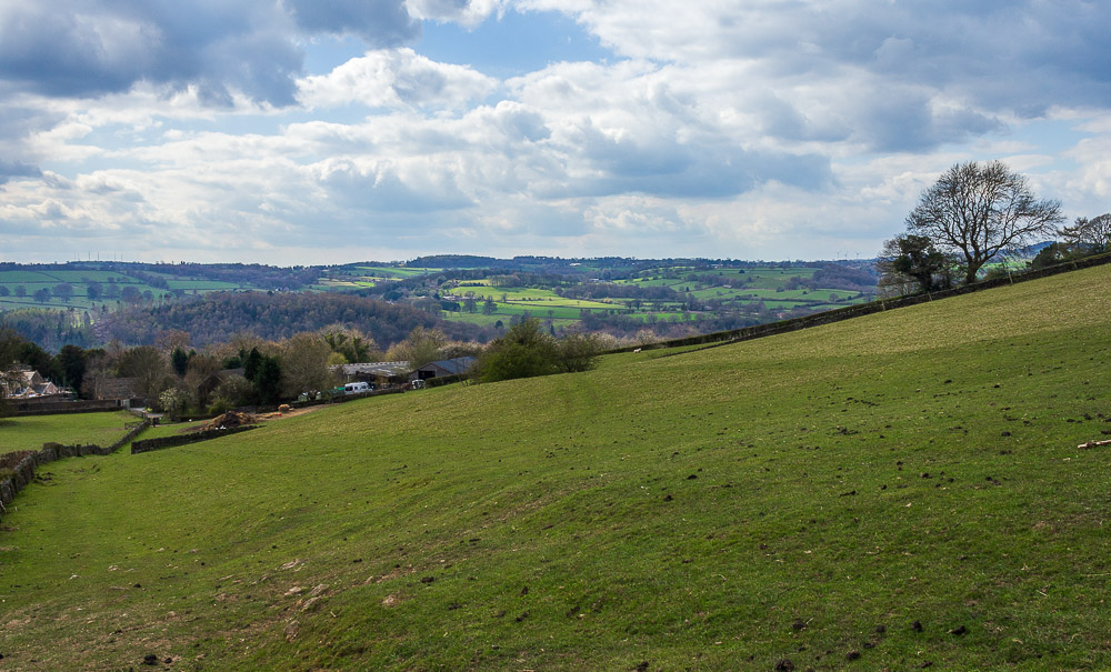 ChaseCliff Farm